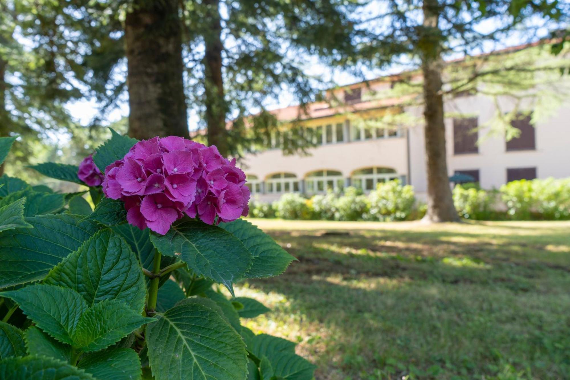 Toscana Wellness Resort Arcidosso Eksteriør billede